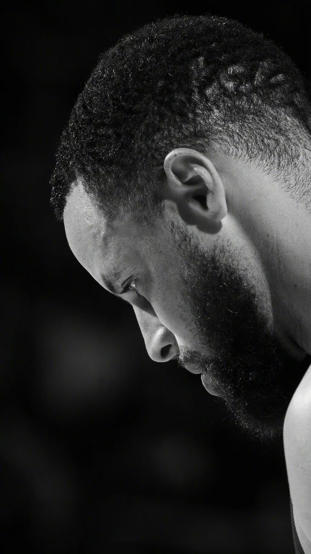 会市场风起 会市场风起