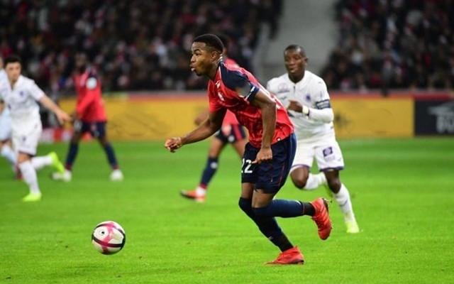 再次成为球 再次成为球