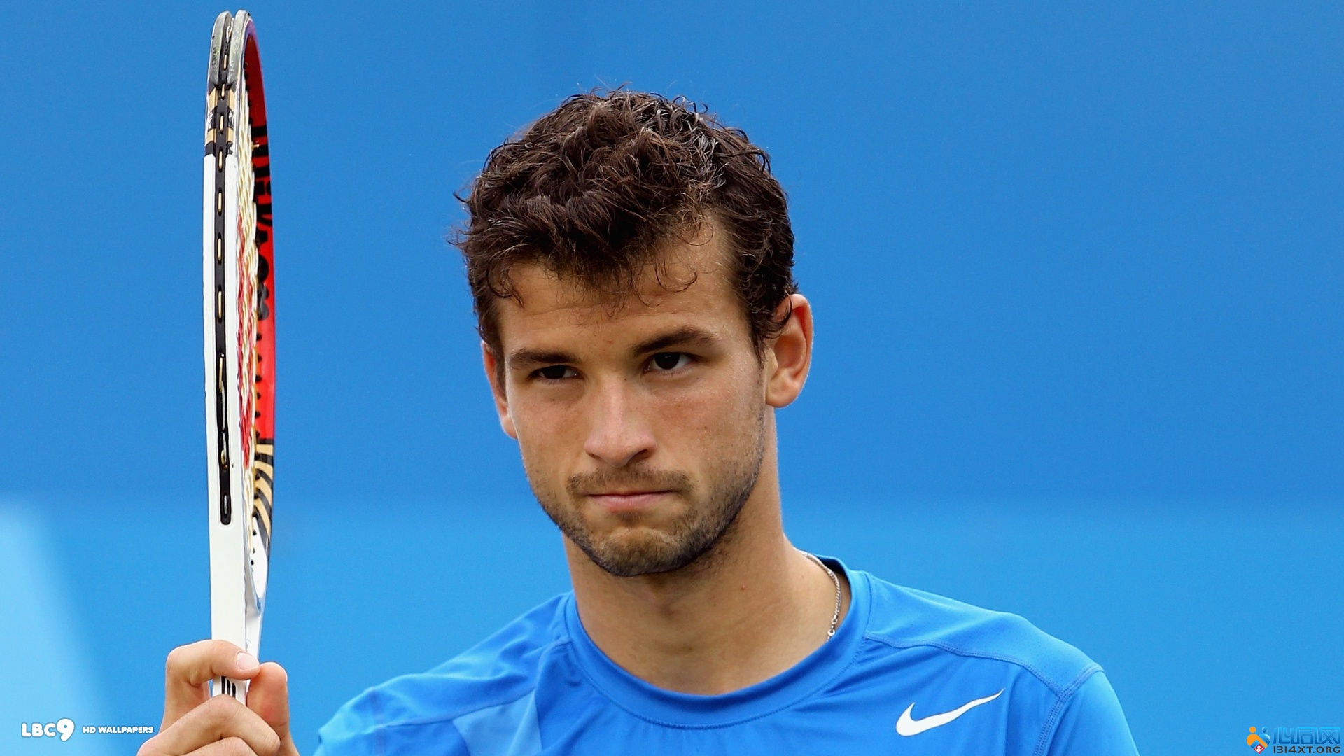 迷和教练组 迷和教练组