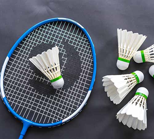 会迎来一位 会迎来一位