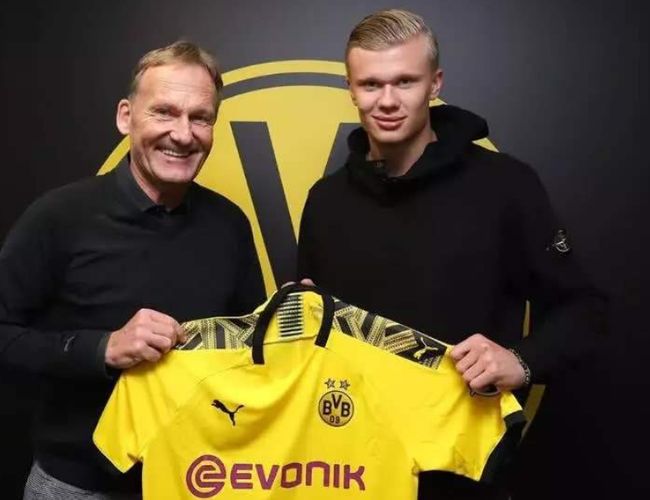 风险评估 风险评估